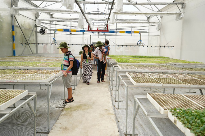 Tận mắt khám phá hành trình nông sản từ nông trường tới mâm cơm gia đình - 2