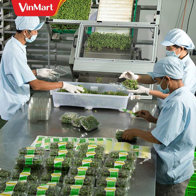 Tận mắt khám phá hành trình nông sản từ nông trường tới mâm cơm gia đình - 6