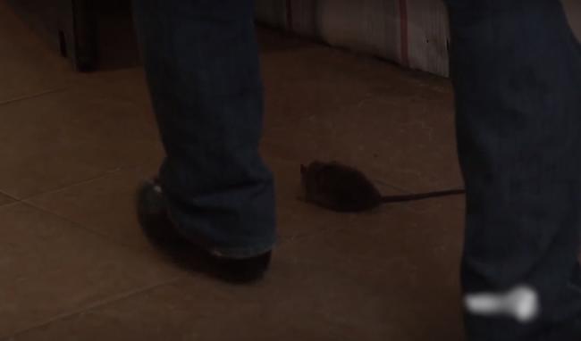 Tiếc tiền mua sữa bầu, Quỳnh Búp Bê khiến các chị em tha hồ amp;#34;bócamp;#34; lỗi - 5