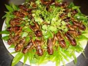 Bếp Eva - Những món Việt tuyệt ngon nhưng nguy hiểm cho sức khỏe
