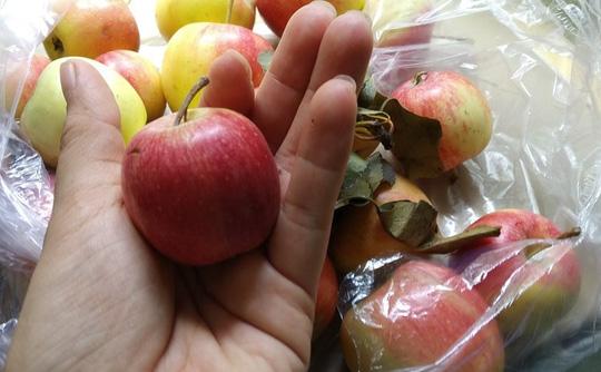 tin tuc 24h: tiet lo bat ngo tu hang xom cua bac sy giet vo moi cuoi, phi tang xac - 2