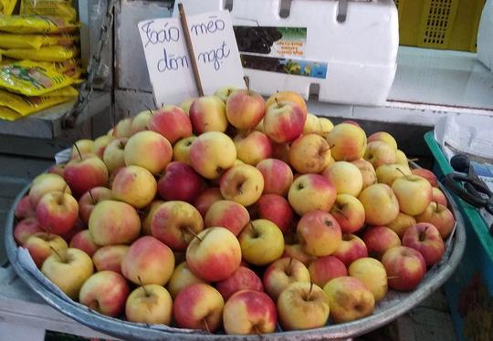 Táo mini Trung Quốc đội lốt “táo mèo” Hà Giang tràn lan trên thị trường - 3