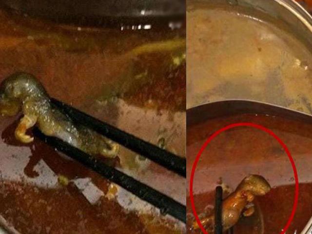 Bà bầu phát hiện chuột trong nồi lẩu, chủ quán hồn nhiên hứa bồi thường tiền... phá thai