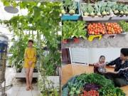 Nhà đẹp - Mẹ Hải Phòng 3 năm học trồng rau trên sân thượng, giờ nhìn "nông trại" 60m2 ai cũng trầm trồ