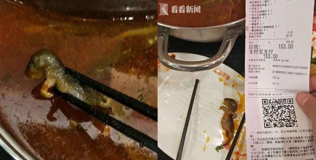 Bà bầu phát hiện chuột trong nồi lẩu, chủ quán amp;#34;hồn nhiênamp;#34; hứa bồi thường tiền... phá thai - 2