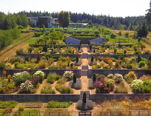 to mo can biet thu la, rong gan 800m2 ma tien dien chi het 500.000d/thang - 18