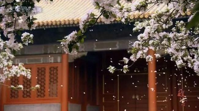 Bỏ 8 tỷ cho du thuyền xuất hiện vài phút, đối thủ Diên Hy Công Lược vẫn đầy lỗi sai - 8