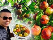 Nhà đẹp - 23 năm sang Mỹ, nhớ vườn Việt của nội, bố hai con trồng cả vườn cây quả sai lúc lỉu