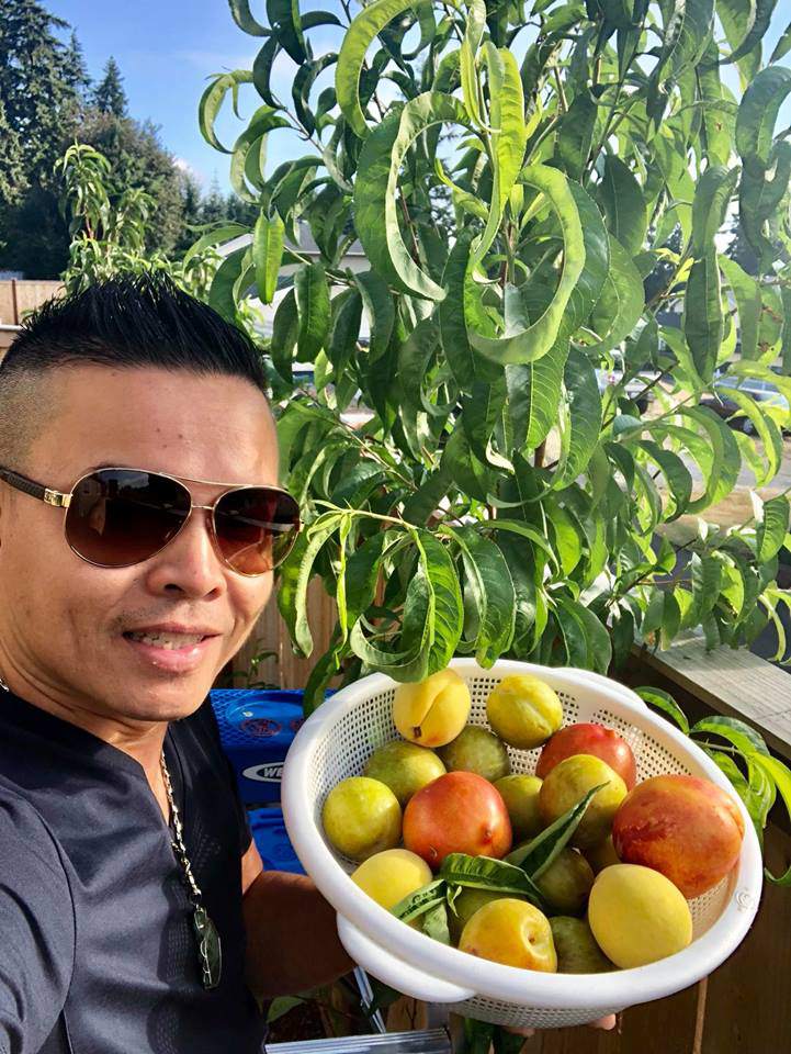 23 năm sang Mỹ, nhớ vườn Việt của nội, bố hai con trồng cả vườn cây quả sai lúc lỉu - 1