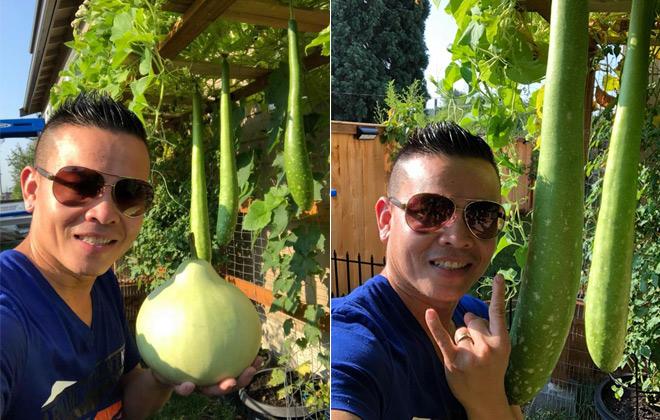 23 năm sang Mỹ, nhớ vườn Việt của nội, bố hai con trồng cả vườn cây quả sai lúc lỉu - 19