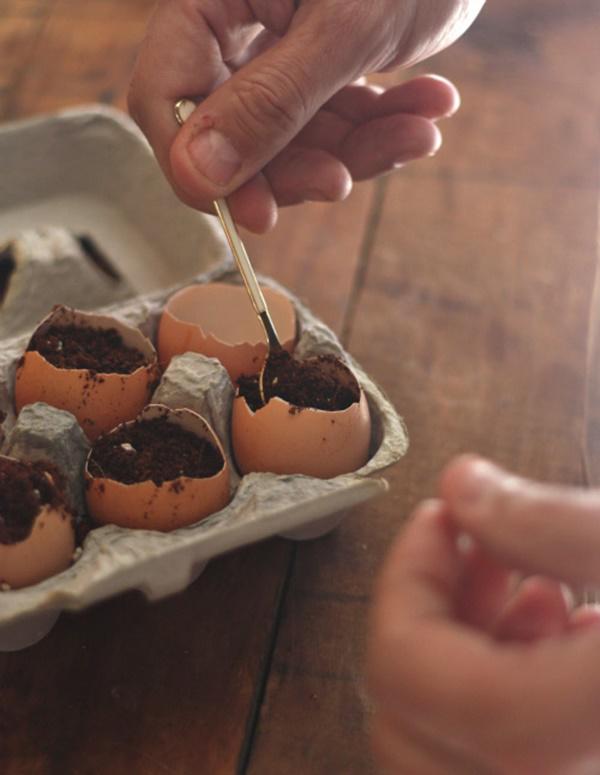Trồng cây trong vỏ trứng, ý tưởng độc đáo cho ngôi nhà chật hẹp rất đáng thử 1 lần - 3