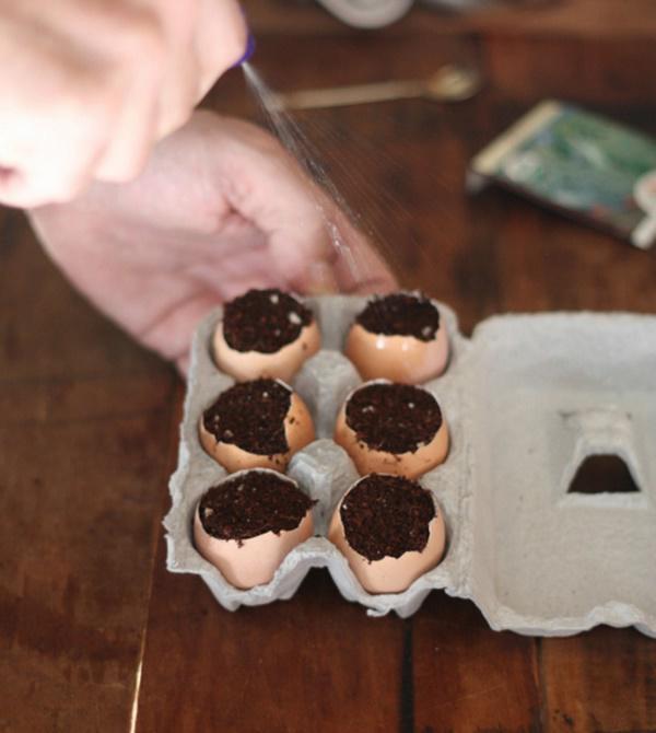 Trồng cây trong vỏ trứng, ý tưởng độc đáo cho ngôi nhà chật hẹp rất đáng thử 1 lần - 4