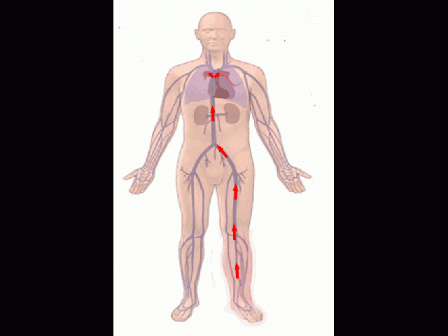 thoi quen “chet nguoi” dan van phong de mac, vi no chang trai 28 tuoi da phai cap cuu - 2