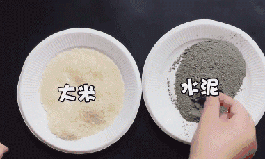 Chỉ cần một nắm gạo, diệt amp;#34;sạch báchamp;#34; được cả đàn chuột trong nhà không tốn một giọt mồ hôi - 2