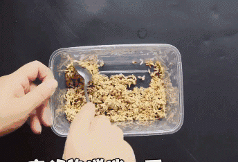 Chỉ cần một nắm gạo, diệt amp;#34;sạch báchamp;#34; được cả đàn chuột trong nhà không tốn một giọt mồ hôi - 10