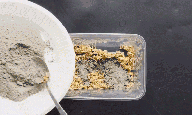 Chỉ cần một nắm gạo, diệt amp;#34;sạch báchamp;#34; được cả đàn chuột trong nhà không tốn một giọt mồ hôi - 12