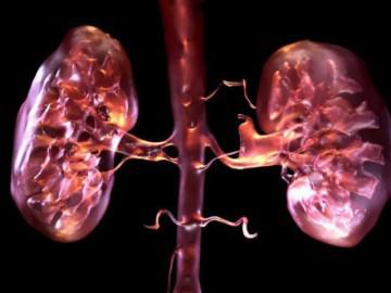 Dấu hiệu suy thận và cách điều trị