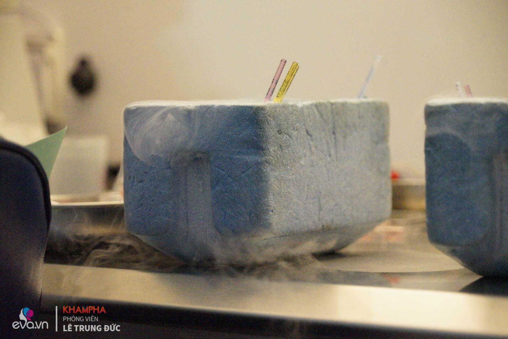 can canh quy trinh dong lanh trung tai viet nam rat nhieu chi em hien dai dang muon thuc hien - 14