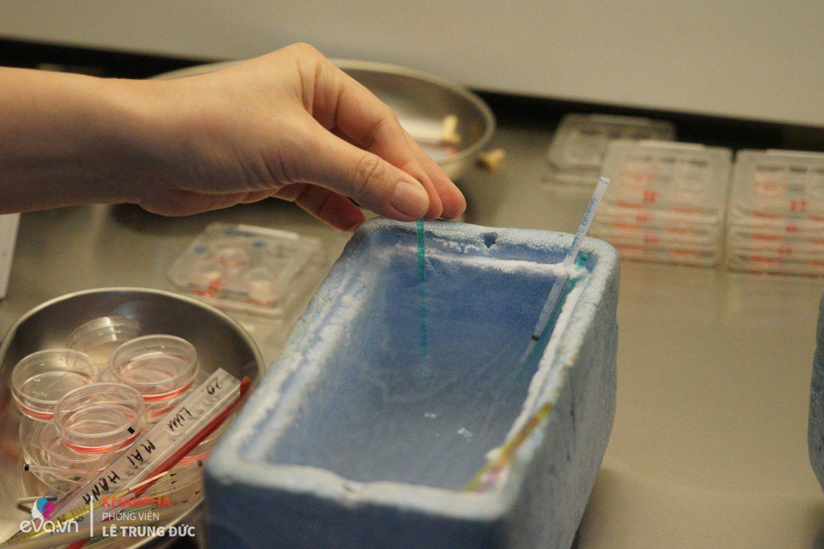 can canh quy trinh dong lanh trung tai viet nam rat nhieu chi em hien dai dang muon thuc hien - 13