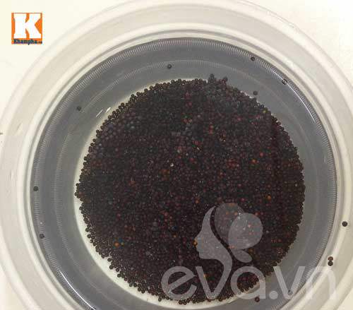 Mẹ Việt ‘sốt’ trồng rau mầm không cần đất - 3