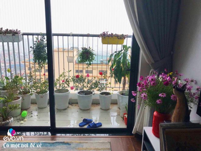 chi 380 trieu thay “ao” moi cho can ho cu, ong bo kts khien ai nhin vao cung tram tro - 17