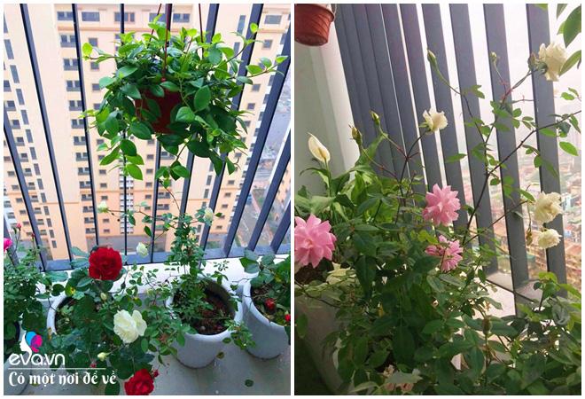 chi 380 trieu thay “ao” moi cho can ho cu, ong bo kts khien ai nhin vao cung tram tro - 18