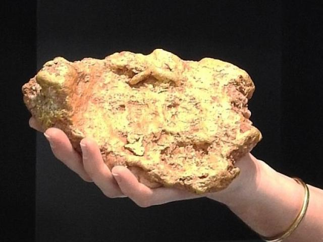 Sốc độc lạ: Bất ngờ đào được cục vàng nặng hơn 3kg, bán được 2,5 tỷ đồng