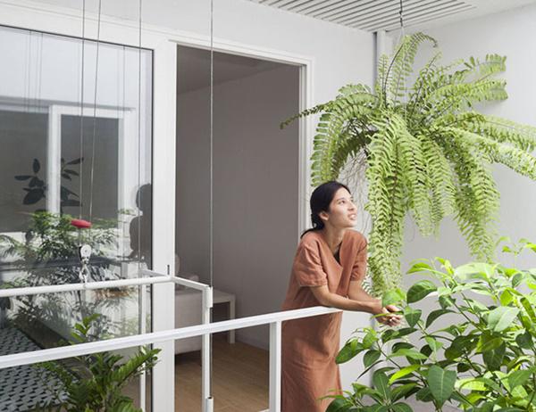 vo chong tre ho bien nha hoang thanh &#34;biet thu bonsai&#34; dep &#34;phat them&#34; - 2