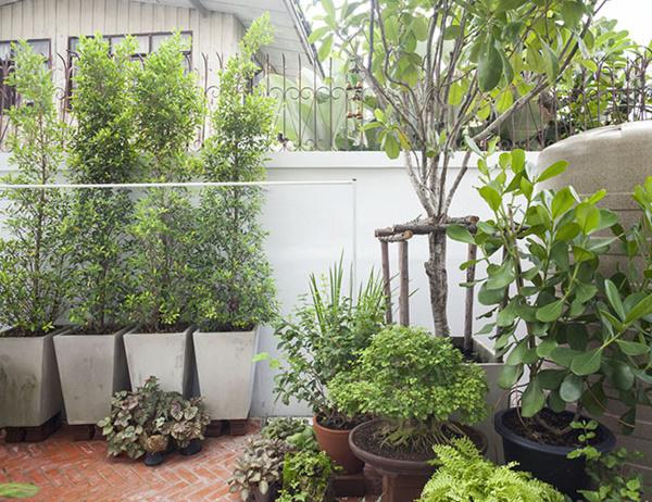 vo chong tre ho bien nha hoang thanh &#34;biet thu bonsai&#34; dep &#34;phat them&#34; - 18