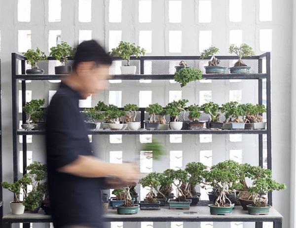 vo chong tre ho bien nha hoang thanh &#34;biet thu bonsai&#34; dep &#34;phat them&#34; - 5