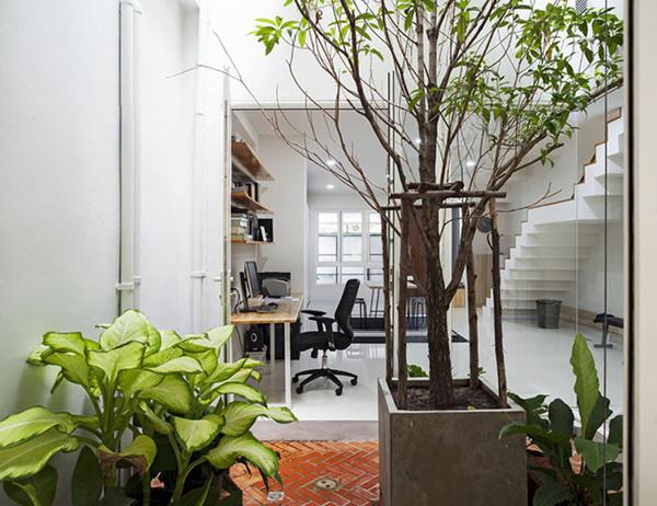 vo chong tre ho bien nha hoang thanh &#34;biet thu bonsai&#34; dep &#34;phat them&#34; - 7