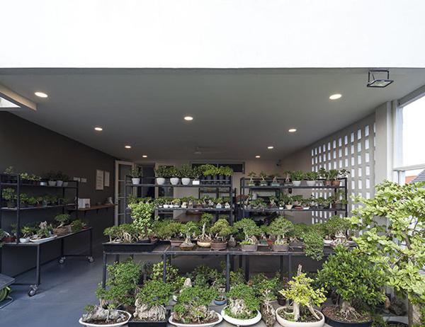 vo chong tre ho bien nha hoang thanh &#34;biet thu bonsai&#34; dep &#34;phat them&#34; - 9