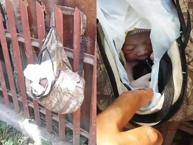 Nghe tiếng khóc kỳ lạ trong túi nilon, người đi đường sốc nặng với cảnh tượng bên trong