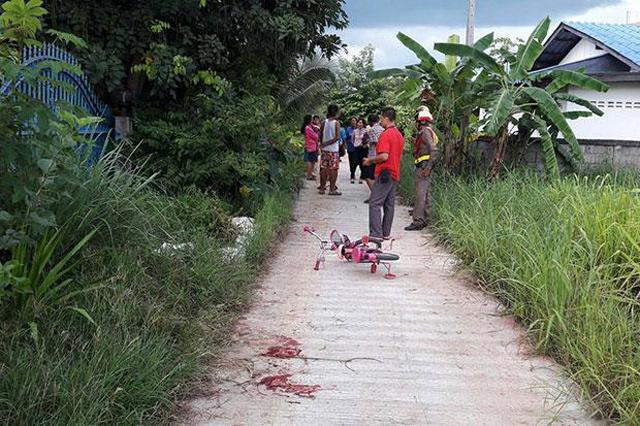 dang choi ben ngoai nha, be gai 4 tuoi bi 3 con cho nha hang xom can tu vong - 2