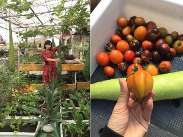 Cần gì vài hecta, chỉ 45m² mẹ Hà Nội khiến chị em “phát thèm” với sân thượng đầy rau quả