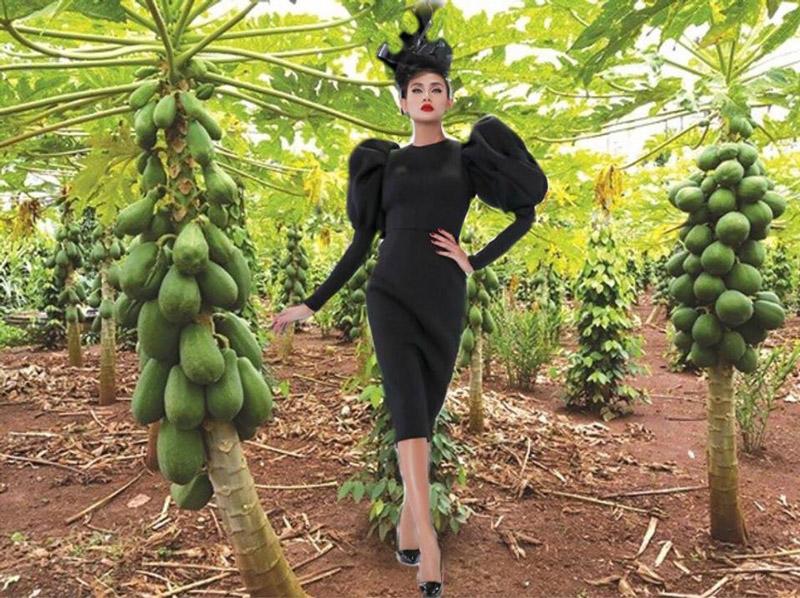 Bức ảnh catwalk với set đồ quý tộc trong The Face Việt Nam 2018, lại được fans chế thành "Nữ hoàng đu đủ" catwalk trong vườn đu đủ cực khéo léo, ai nhìn cũng ôm bụng mà cười. 
