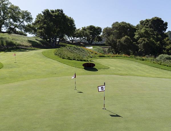 choang voi dinh thu "khung" co gia dat nhat vinh san francisco trong suot 10 nam qua - 11