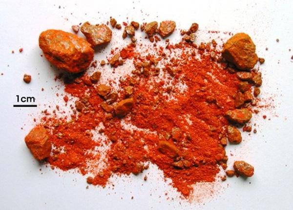 muon ran khong bo vao nha hay thu nhung cach nay - 4