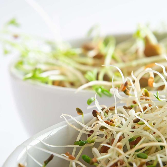 tuyet doi khong an song 9 thuc pham nay keo co ngay hoi han - 6