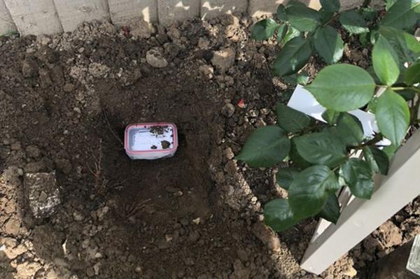 hao huc thu thai sau vai thang bi say, me tre nhan ve cai ket dau kho - 3