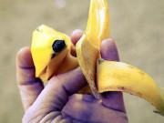 Nhà đẹp - 13 công dụng thần kỳ của vỏ chuối giúp cuộc sống dễ dàng hơn: Bạn biết được bao nhiêu?