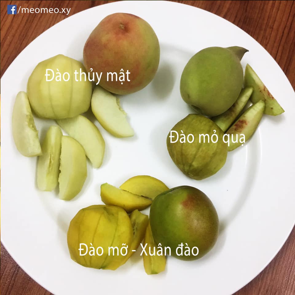 tranh thu cuoi mua, 9x mach cach ngam dao tu a - z khien chi em phat sot - 2