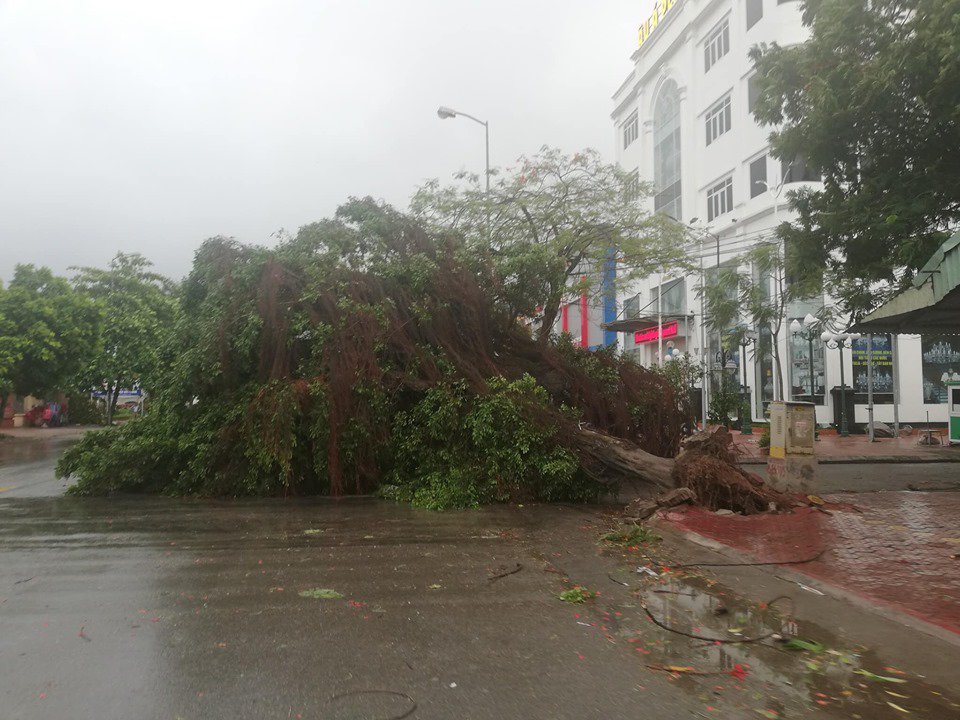 Diễn biến bão số 2: Đổ bộ đất liền gây mưa to gió giật mạnh, 2 người tử vong - 6