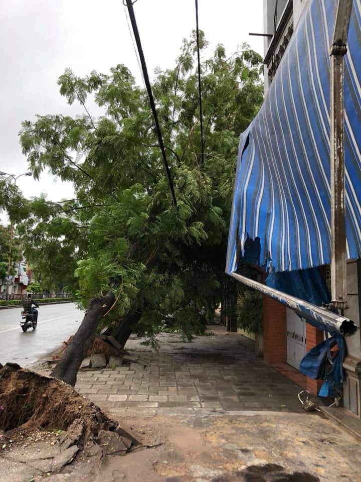 Diễn biến bão số 2: Đổ bộ đất liền gây mưa to gió giật mạnh, 2 người tử vong - 2