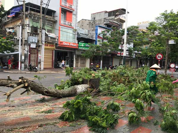 Diễn biến bão số 2: Đổ bộ đất liền gây mưa to gió giật mạnh, 2 người tử vong - 3