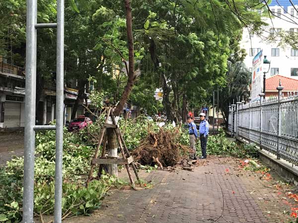 Diễn biến bão số 2: Đổ bộ đất liền gây mưa to gió giật mạnh, 2 người tử vong - 4