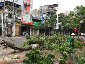 Diễn biến bão số 2: Đổ bộ đất liền gây mưa to gió giật mạnh, 2 người tử vong