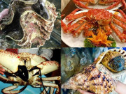Tiêu dùng - Lẩu đại gia khác lẩu bình dân như thế nào?