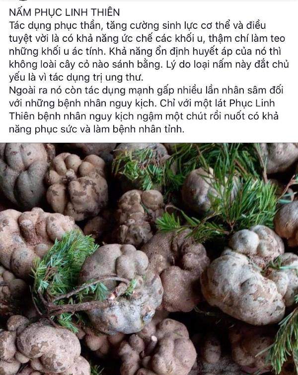 thuc hu cong dung cua loai nam nhieu nguoi phai bo tien trieu nhung van tranh nhau mua - 1