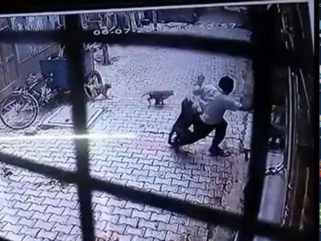 Bầy khỉ đói ăn chặn đường tấn công người dân